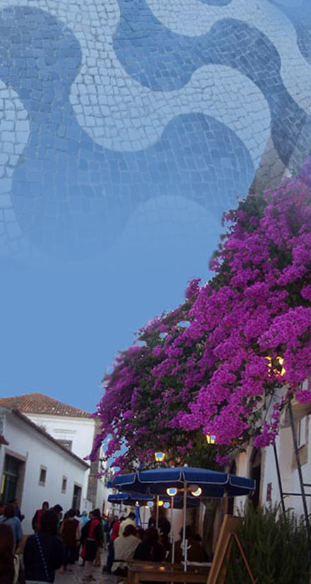 Villa Obidos - Silver Coast Holiday Villa, Obidos, Portugal